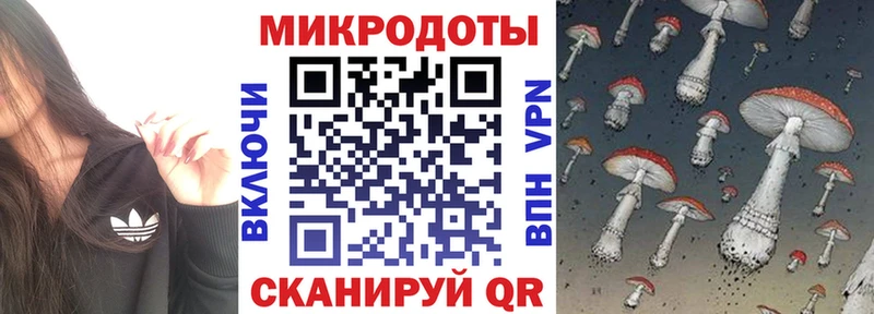 Галлюциногенные грибы Psilocybine cubensis  hydra   Кедровый 